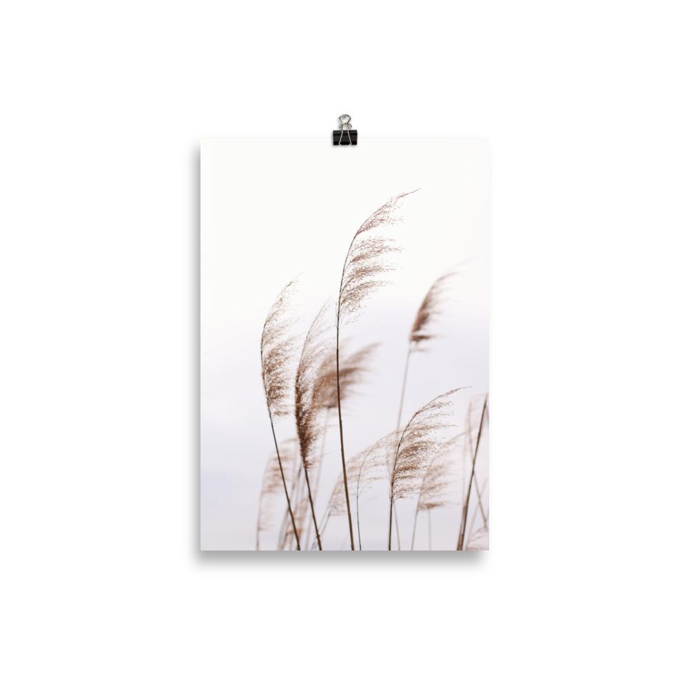 Reeds 01 - Poster artlia 21×30 cm artlia