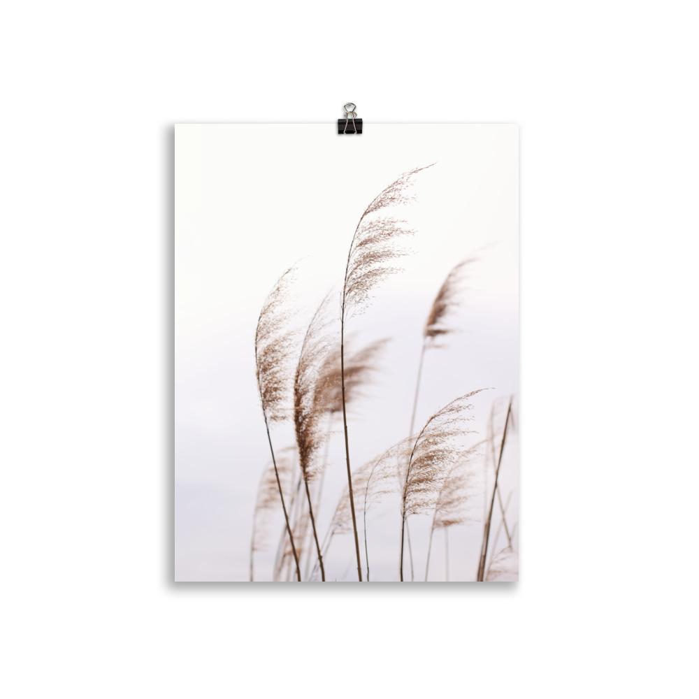 Reeds 01 - Poster artlia 30×40 cm artlia