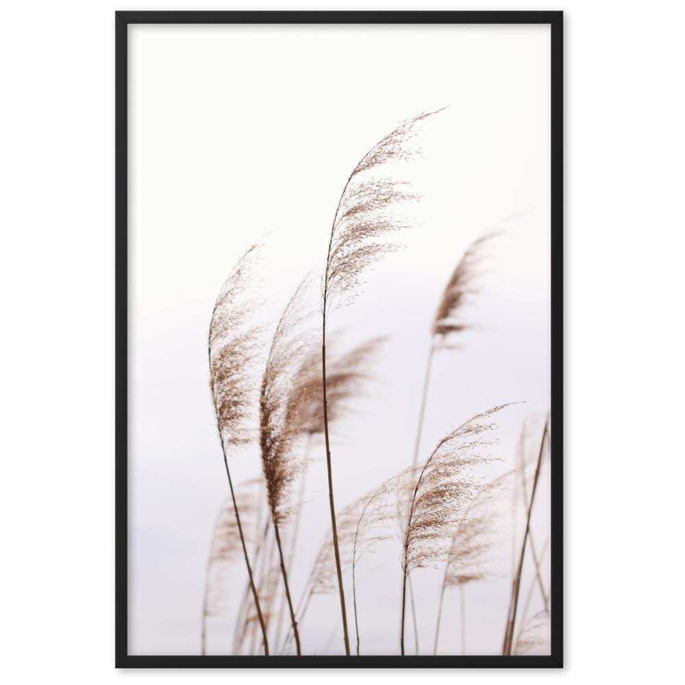 Reeds 01 - Poster im Rahmen artlia Schwarz / 61×91 cm artlia