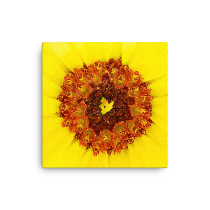 Ringelblume - Leinwand artlia 12×12 artlia