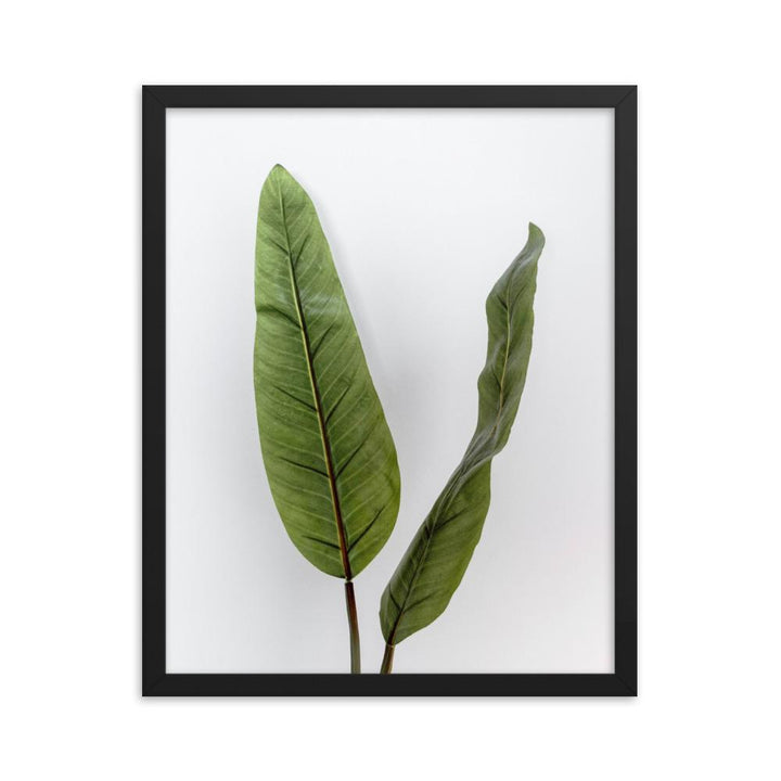 Tropical Leaves - Poster im Rahmen Kuratoren von artlia schwarz / 41x51 cm artlia