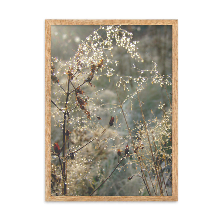 Winter Dews - Poster im Rahmen Kuratoren von artlia Oak / 50×70 cm artlia