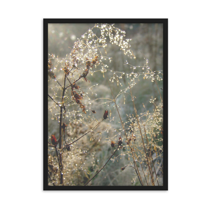 Winter Dews - Poster im Rahmen Kuratoren von artlia Schwarz / 50×70 cm artlia