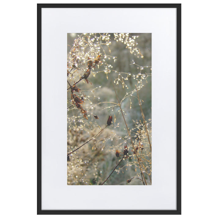 Winter Dews - Poster im Rahmen mit Passepartout Kuratoren von artlia Schwarz / 61×91 cm artlia