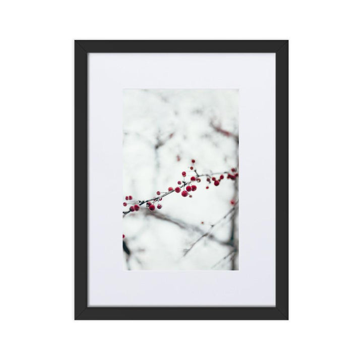 Winterbeeren Winterberries - Poster im Rahmen mit Passepartout artlia Schwarz / 30×40 cm artlia